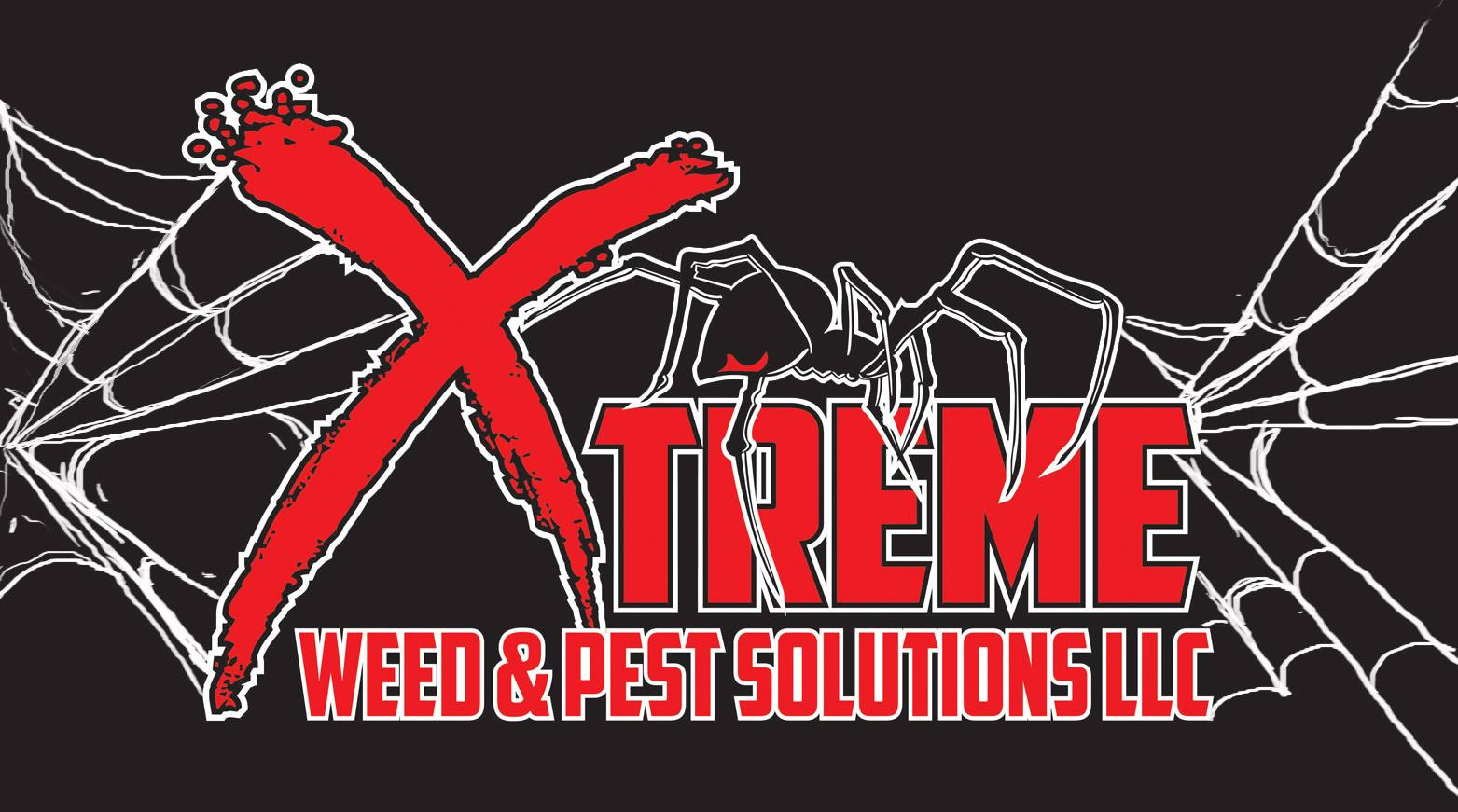 3 Best Pest Control Companies in Whitefish, MT Today's Homeowner